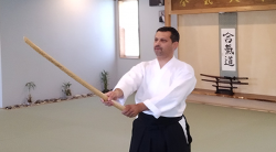 Bokken