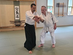 Bushido Aikido