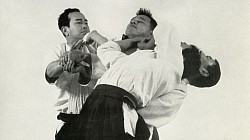 Aikido action