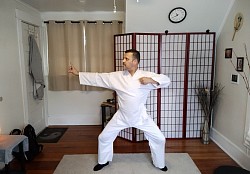 Tutoring Shiatsu-Anma/Aikido lessons. Contact for more details.