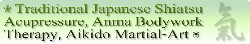 Shiatsu banner